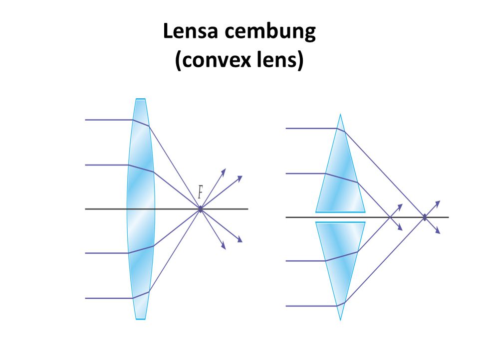 Lensa cembung (convex lens)