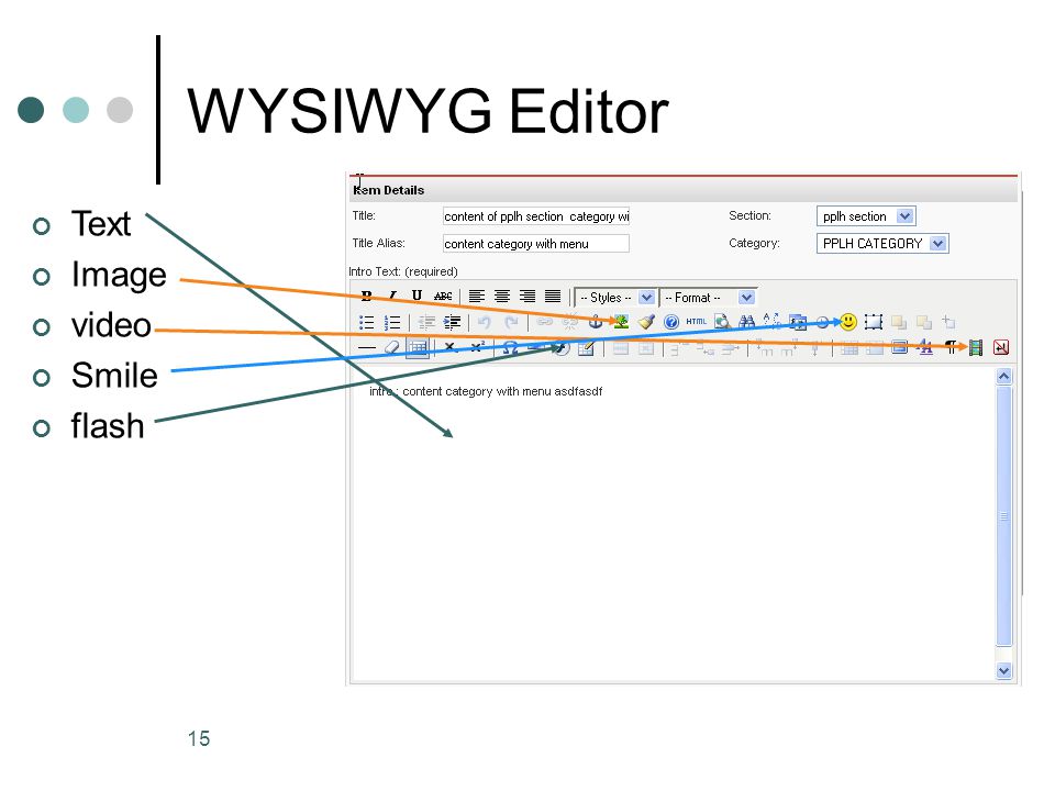 15 WYSIWYG Editor Text Image video Smile flash