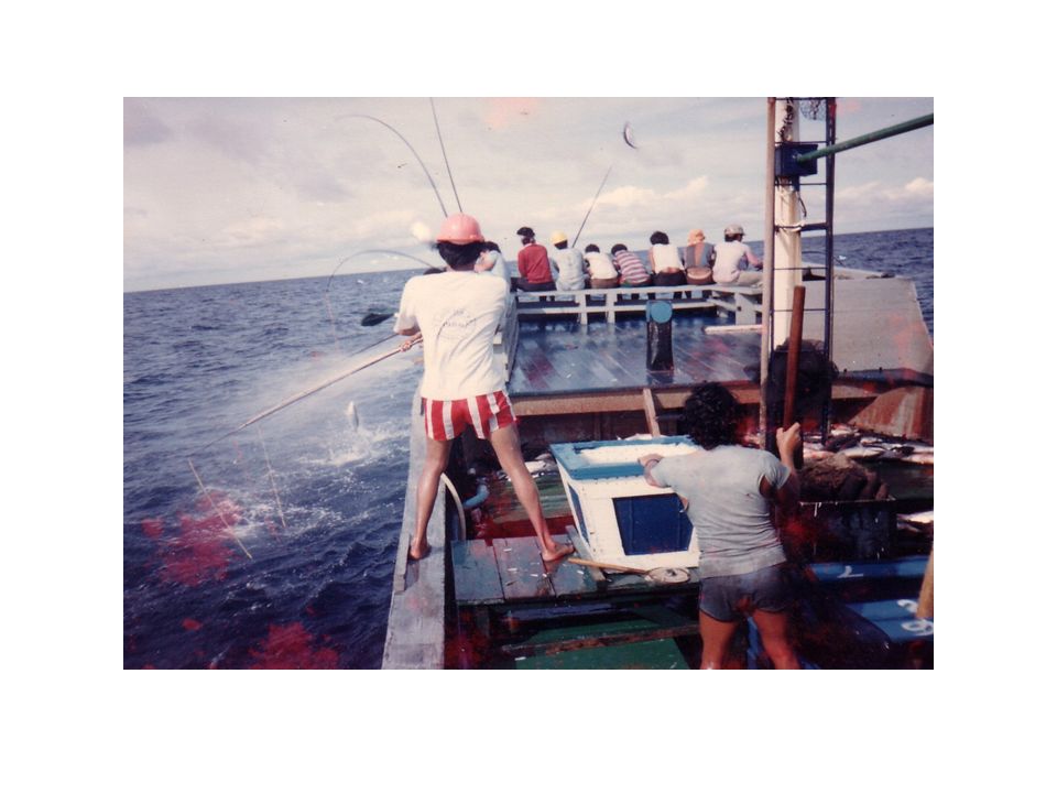 Teknik Penangkapan Ikan Dengan Huhate Pole And Line Oleh Muhidin