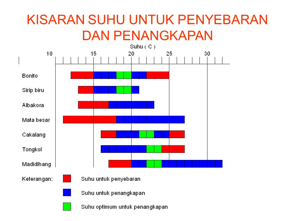 Teknik Penangkapan Ikan Dengan Huhate Pole And Line Oleh Muhidin