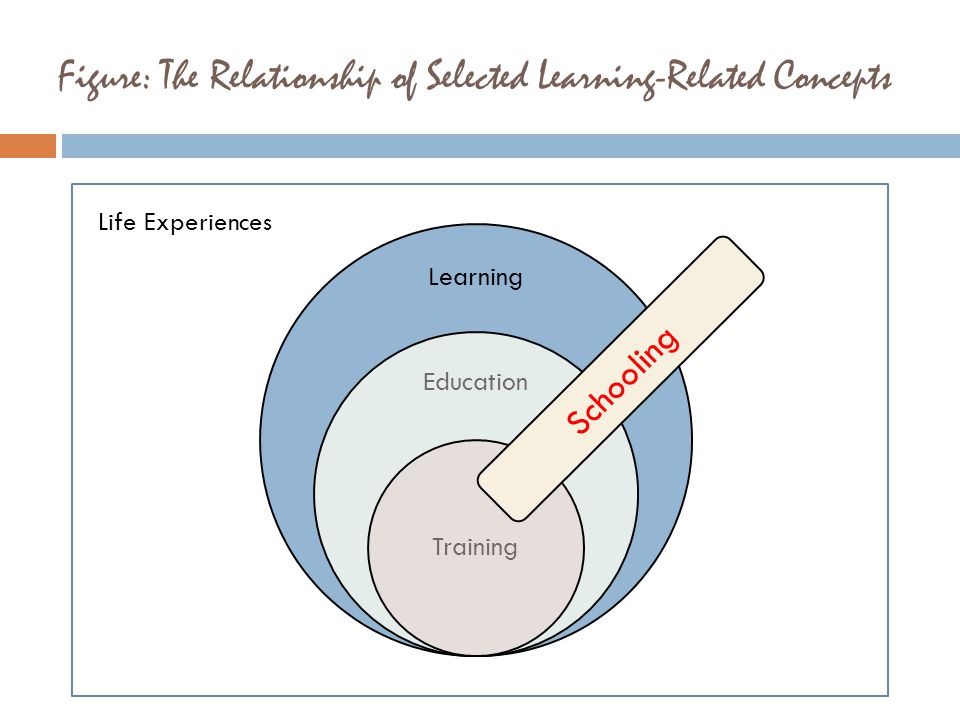 Figure: The Relationship of Selected Learning-Related Concepts Learning Education Training Life Experiences Schooling