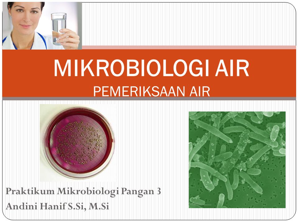 Praktikum Mikrobiologi Pangan 3 Andini Hanif S.Si, M.Si MIKROBIOLOGI AIR PEMERIKSAAN AIR
