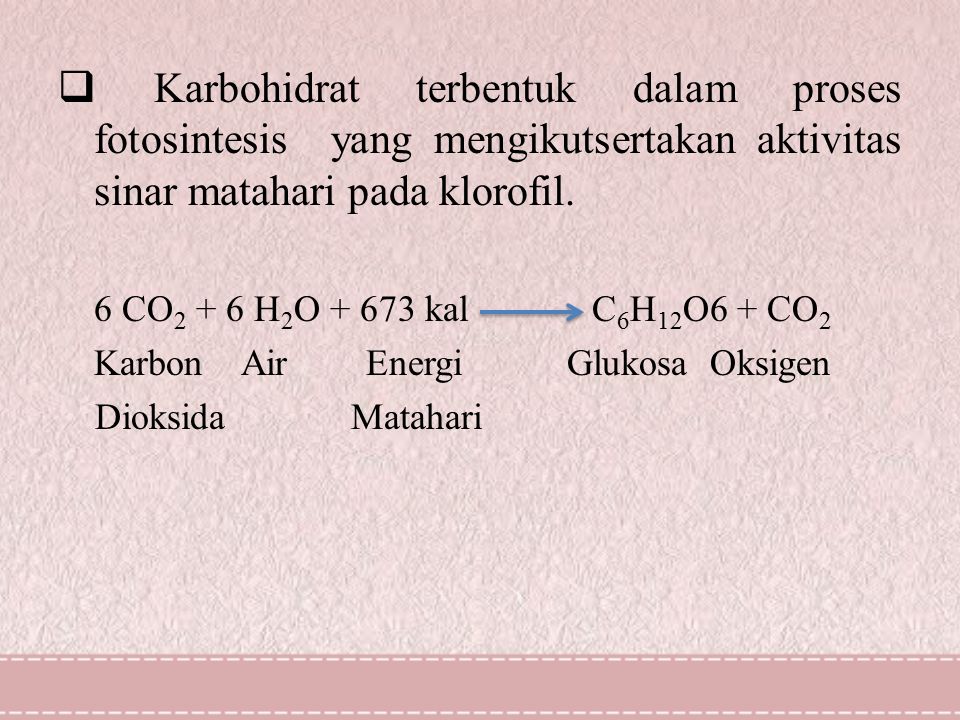  Karbohidrat terbentuk dalam proses fotosintesis yang mengikutsertakan aktivitas sinar matahari pada klorofil.