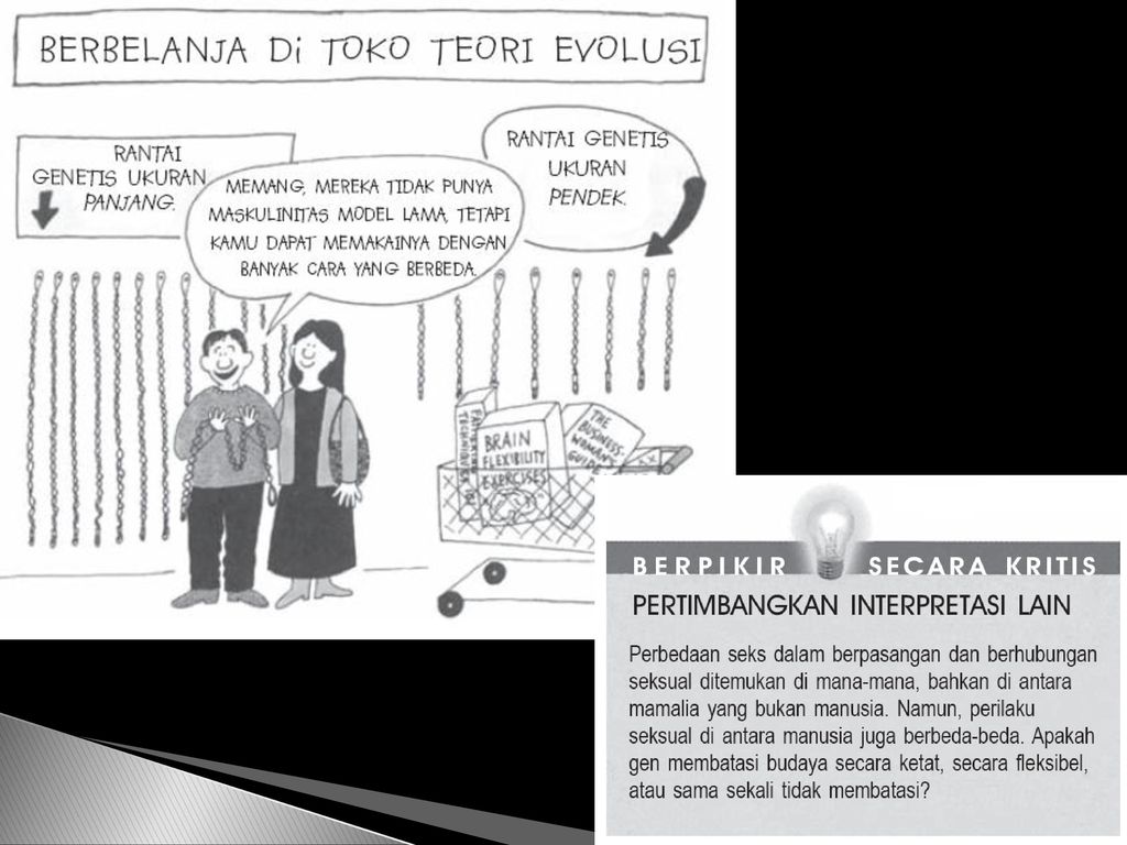 Gen Evolusi Lingkungan Ppt Download