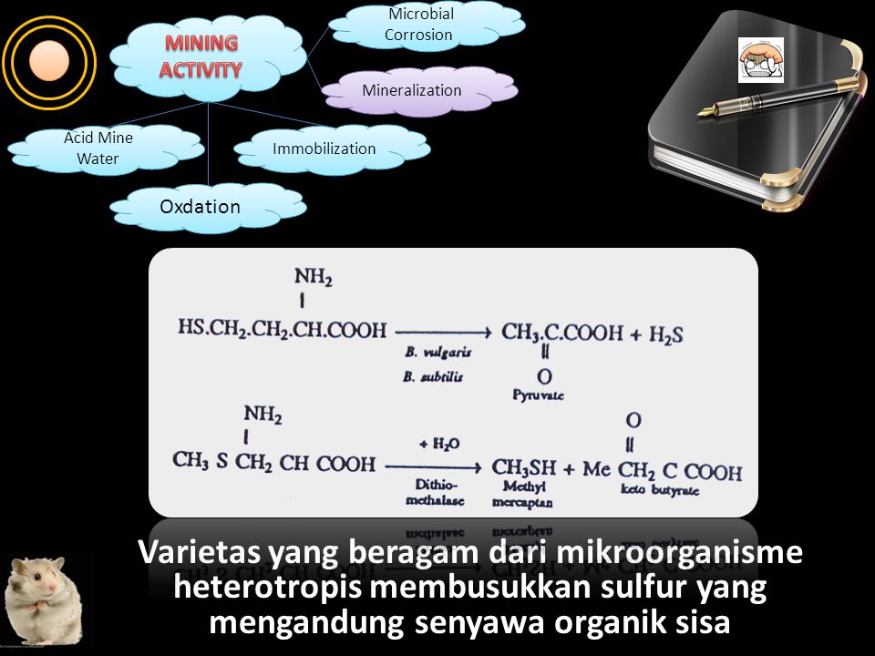 Oxdation Immobilization Mineralization Microbial Corrosion Microbial Corrosion Acid Mine Water Acid Mine Water Oksidasi sulfur ke sulfat diasimilasi oleh mikroorganisme untuk menghasilkan asam amino sulfonat melalui proses asimilasi reduksi.