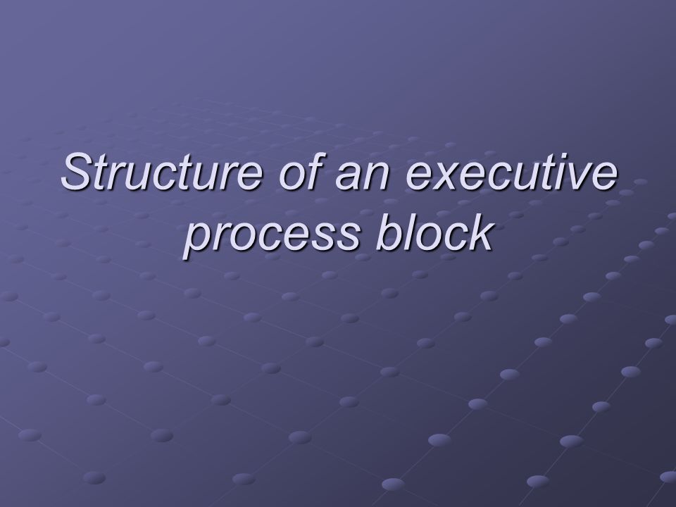 Structure of an executive process block