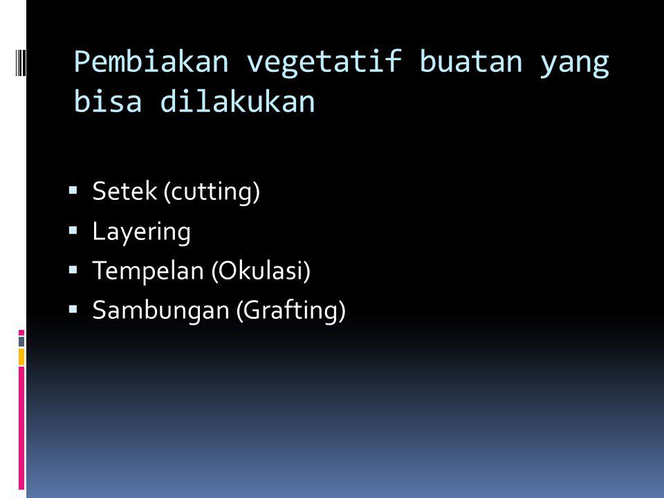Pembiakan vegetatif buatan yang bisa dilakukan  Setek (cutting)  Layering  Tempelan (Okulasi)  Sambungan (Grafting)