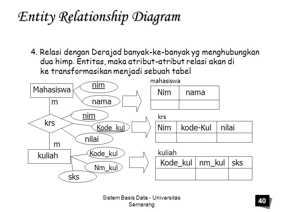 Sistem Basis Data - Universitas Semarang 40 Entity Relationship Diagram 4.