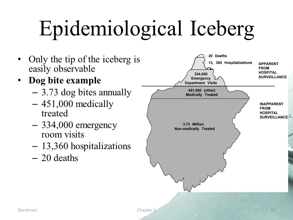 GerstmanChapter 233 Epidemiological Iceberg Only the tip of the iceberg is easily observable Dog bite example –3.73 dog bites annually –451,000 medically treated –334,000 emergency room visits –13,360 hospitalizations –20 deaths