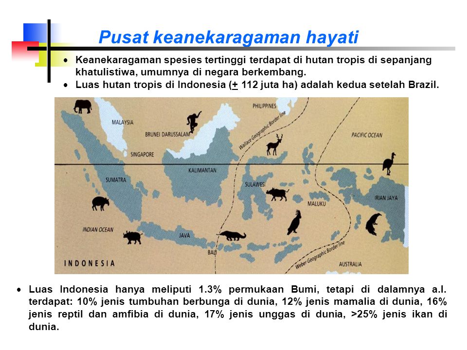 Pusat keanekaragaman hayati  Luas Indonesia hanya meliputi 1.3% permukaan Bumi, tetapi di dalamnya a.l.