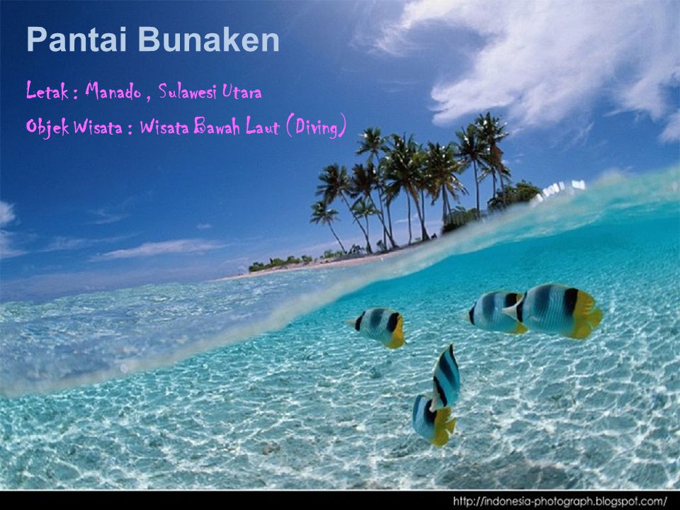 Pantai Bunaken Letak : Manado, Sulawesi Utara Objek Wisata : Wisata Bawah Laut (Diving)