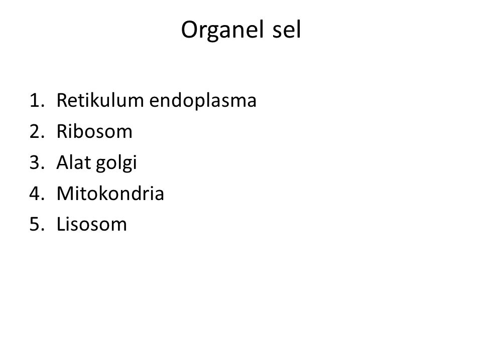 Organel sel 1.Retikulum endoplasma 2.Ribosom 3.Alat golgi 4.Mitokondria 5.Lisosom