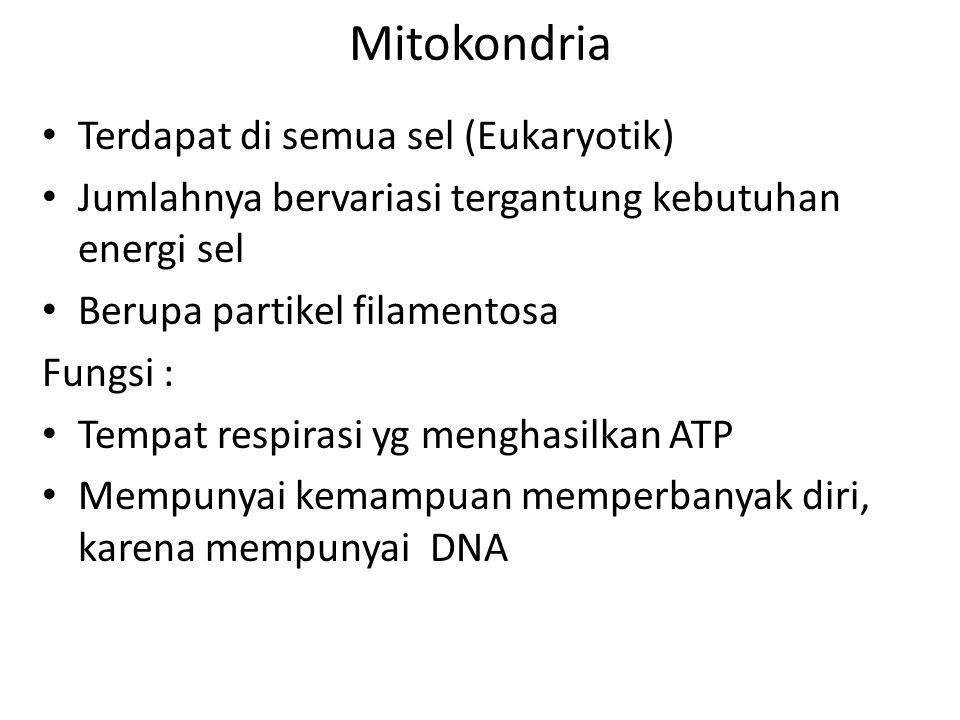 Mitokondria Terdapat di semua sel (Eukaryotik)‏ Jumlahnya bervariasi tergantung kebutuhan energi sel Berupa partikel filamentosa Fungsi : Tempat respirasi yg menghasilkan ATP Mempunyai kemampuan memperbanyak diri, karena mempunyai DNA