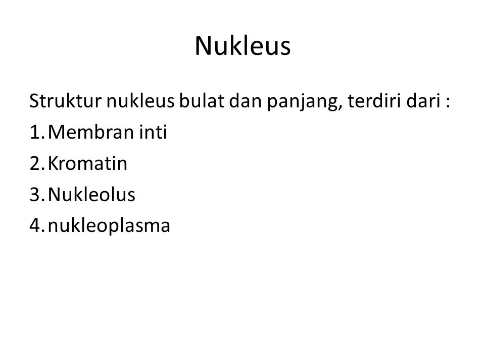Nukleus Struktur nukleus bulat dan panjang, terdiri dari : 1.Membran inti 2.Kromatin 3.Nukleolus 4.nukleoplasma