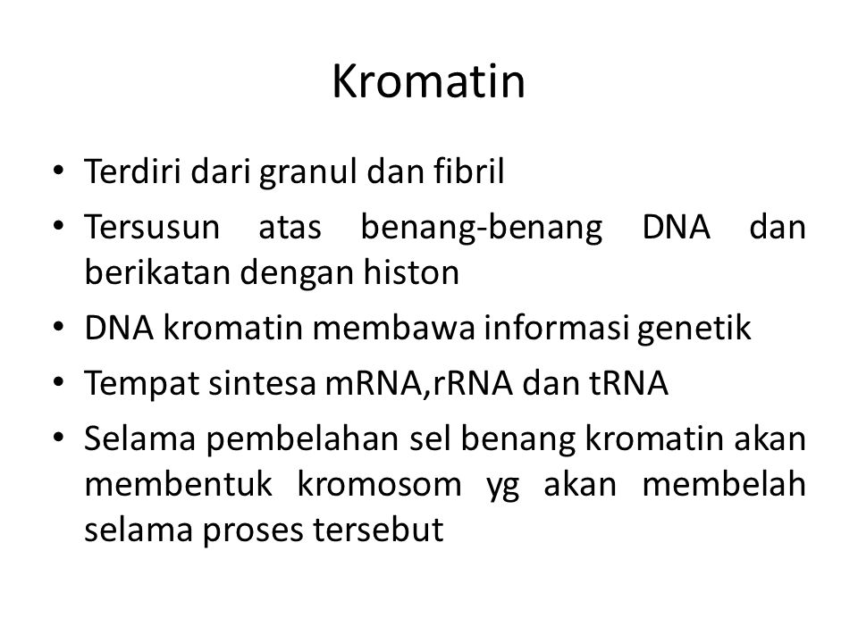 Kromatin Terdiri dari granul dan fibril Tersusun atas benang-benang DNA dan berikatan dengan histon DNA kromatin membawa informasi genetik Tempat sintesa mRNA,rRNA dan tRNA Selama pembelahan sel benang kromatin akan membentuk kromosom yg akan membelah selama proses tersebut