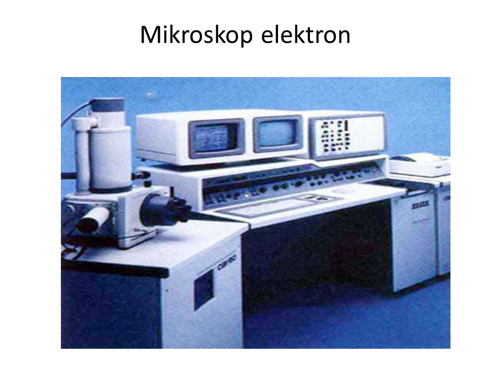 Mikroskop elektron