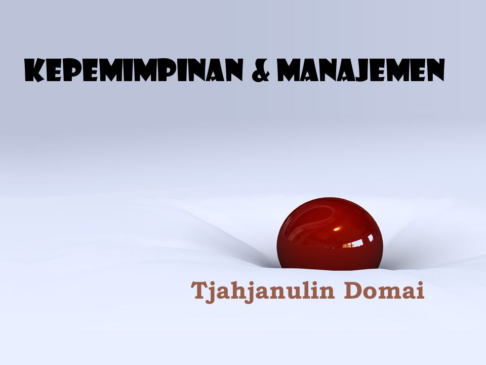 Kepemimpinan & Manajemen Tjahjanulin Domai