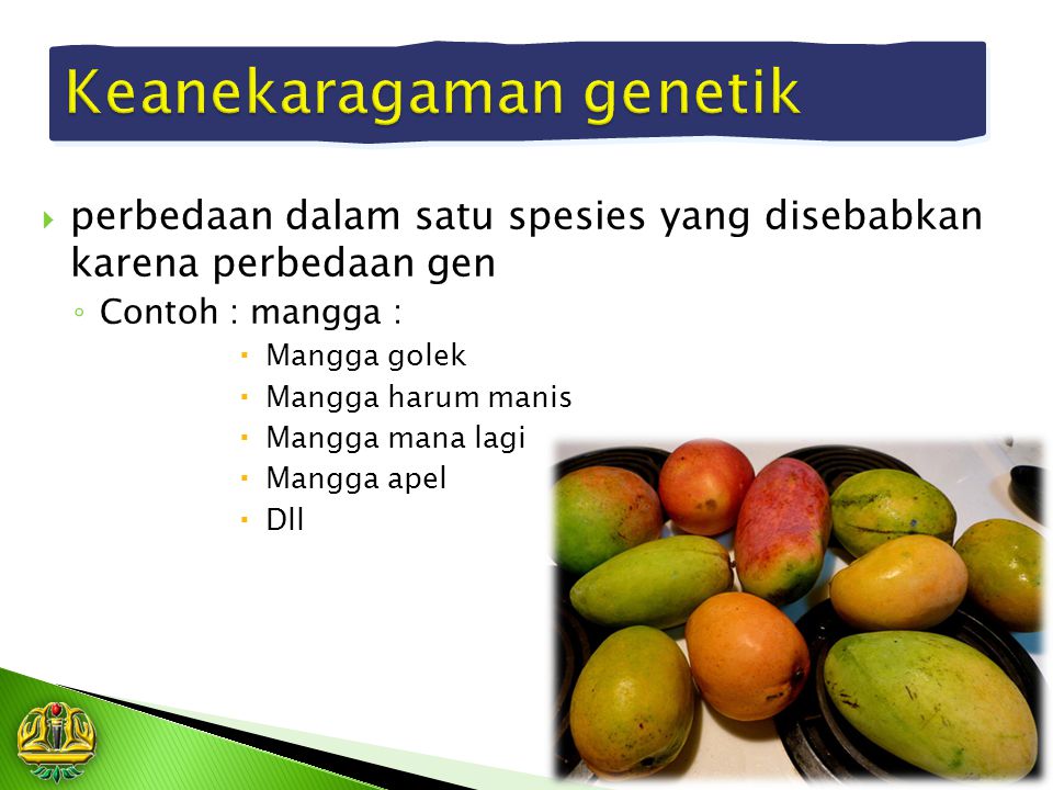  perbedaan dalam satu spesies yang disebabkan karena perbedaan gen ◦ Contoh : mangga :  Mangga golek  Mangga harum manis  Mangga mana lagi  Mangga apel  Dll