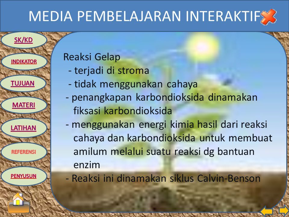 MEDIA PEMBELAJARAN INTERAKTIF IPA BIOLOGI KELAS VIII SEMESTER Ppt Download