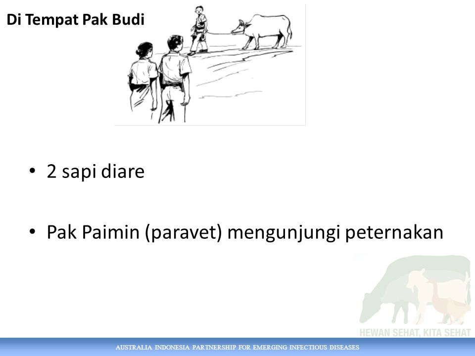 AUSTRALIA INDONESIA PARTNERSHIP FOR EMERGING INFECTIOUS DISEASES 2 sapi diare Pak Paimin (paravet) mengunjungi peternakan Di Tempat Pak Budi