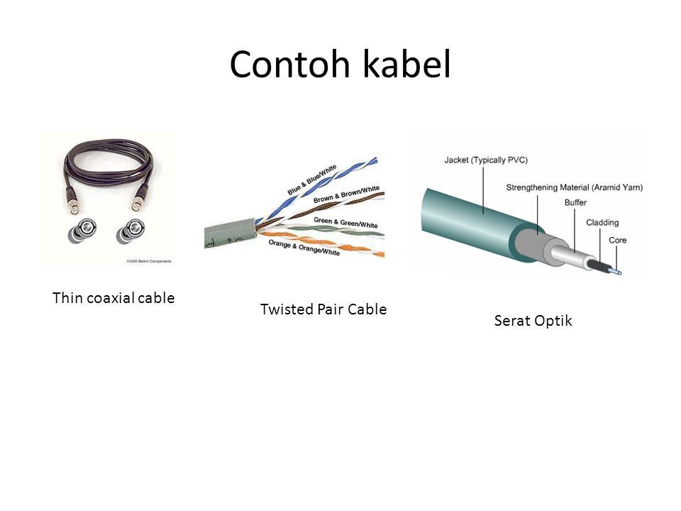 Contoh kabel Serat Optik Twisted Pair Cable Thin coaxial cable