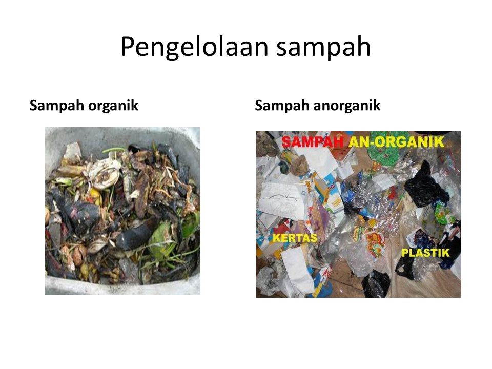 Pengelolaan sampah Sampah organikSampah anorganik