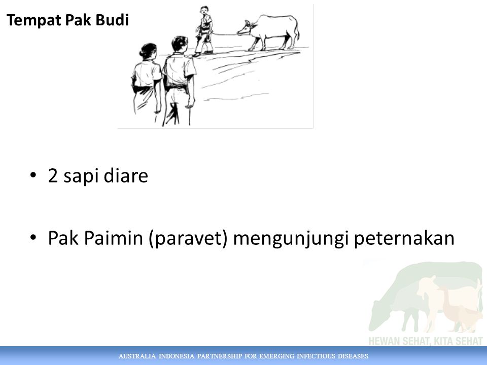AUSTRALIA INDONESIA PARTNERSHIP FOR EMERGING INFECTIOUS DISEASES 2 sapi diare Pak Paimin (paravet) mengunjungi peternakan Tempat Pak Budi