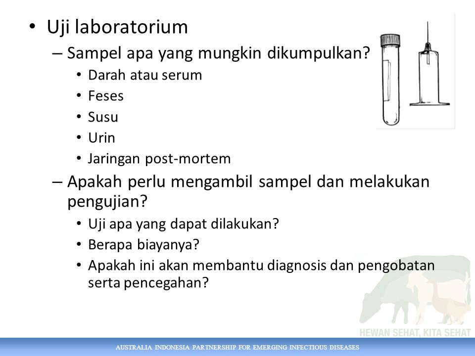 AUSTRALIA INDONESIA PARTNERSHIP FOR EMERGING INFECTIOUS DISEASES Uji laboratorium – Sampel apa yang mungkin dikumpulkan.