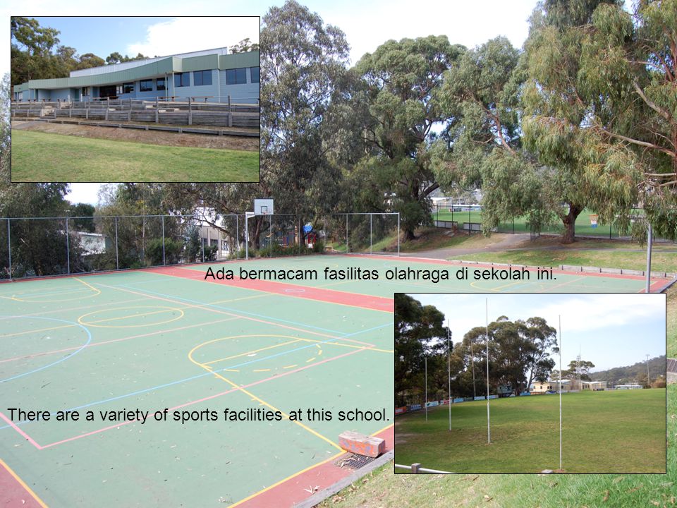 What sports facilities your school have. Sport School facilities список. Facilities at School примеры. Тема Sport facilities at School. Sports facilities примеры на английском.