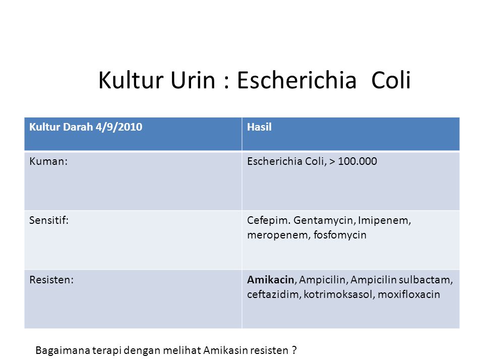 Kultur Urin : Escherichia Coli Kultur Darah 4/9/2010Hasil Kuman:Escherichia Coli, > Sensitif:Cefepim.