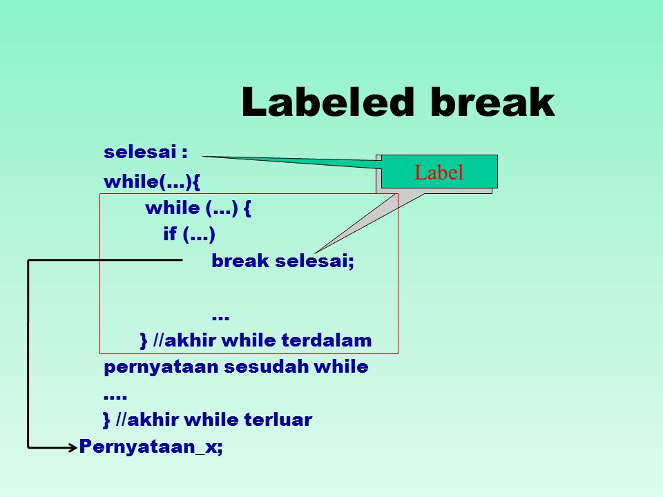 Labeled break selesai : while(…){ if (…) break selesai; … } //akhir while terdalam pernyataan sesudah while ….