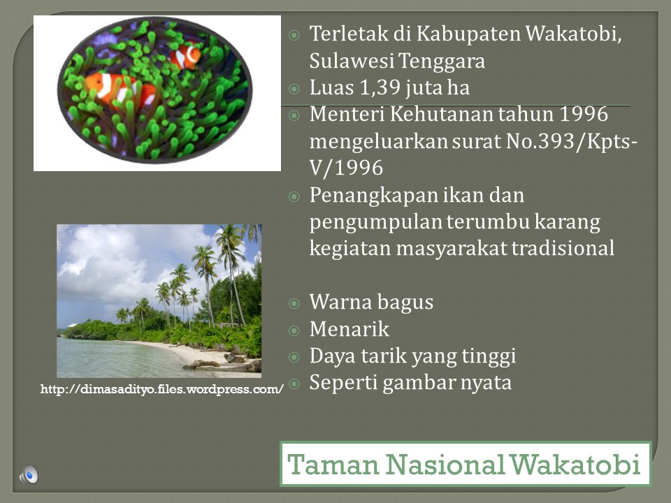  Terletak di Kabupaten Wakatobi, Sulawesi Tenggara  Luas 1,39 juta ha  Menteri Kehutanan tahun 1996 mengeluarkan surat No.393/Kpts- V/1996  Penangkapan ikan dan pengumpulan terumbu karang kegiatan masyarakat tradisional  Warna bagus  Menarik  Daya tarik yang tinggi  Seperti gambar nyata   Taman Nasional Wakatobi