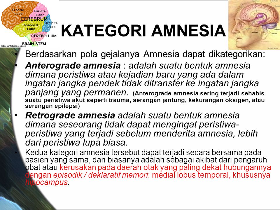 Amnesia adalah