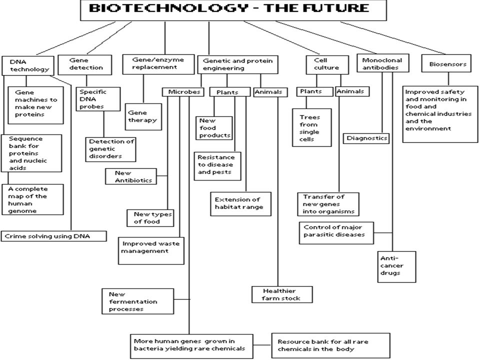 Apakah bioteknologi itu .