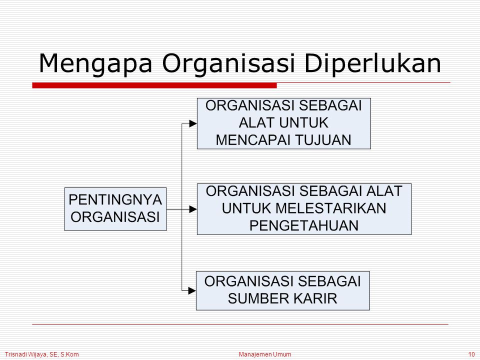 Trisnadi Wijaya, SE, S.Kom Manajemen Umum10 Mengapa Organisasi Diperlukan
