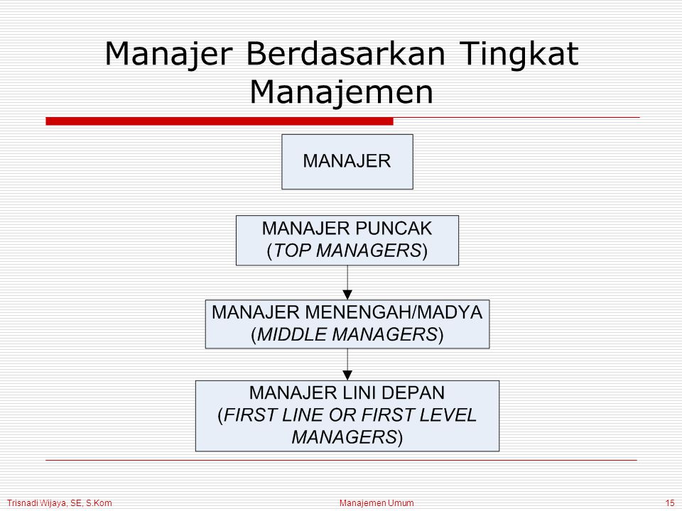 Trisnadi Wijaya, SE, S.Kom Manajemen Umum15 Manajer Berdasarkan Tingkat Manajemen