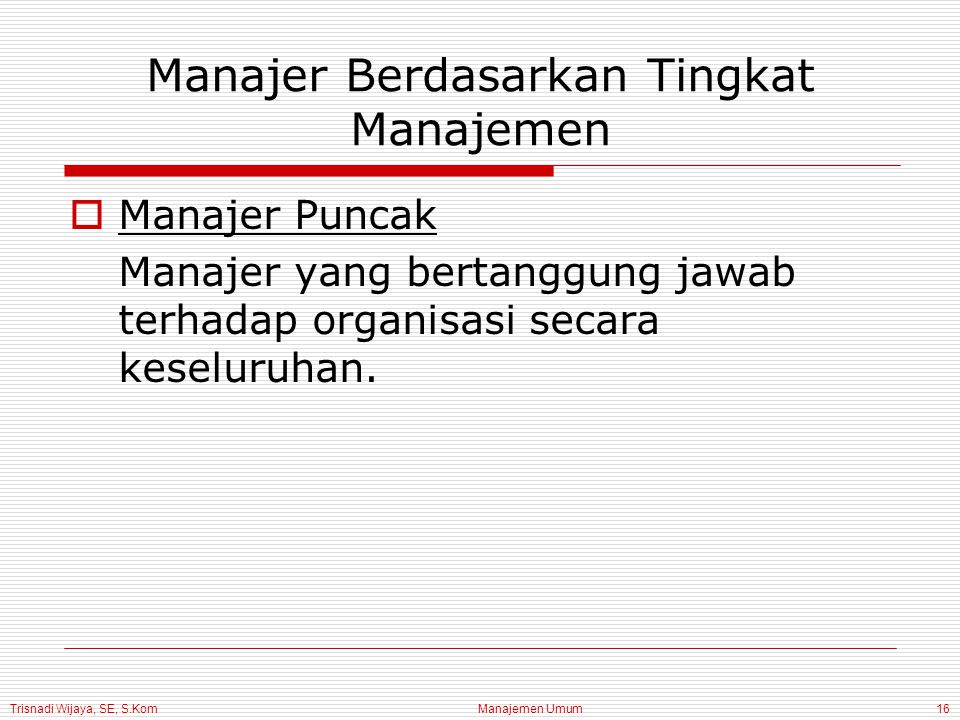 Trisnadi Wijaya, SE, S.Kom Manajemen Umum16 Manajer Berdasarkan Tingkat Manajemen  Manajer Puncak Manajer yang bertanggung jawab terhadap organisasi secara keseluruhan.