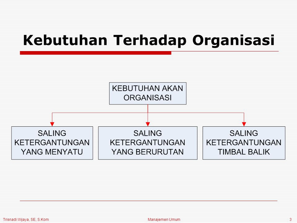 Trisnadi Wijaya, SE, S.Kom Manajemen Umum3 Kebutuhan Terhadap Organisasi
