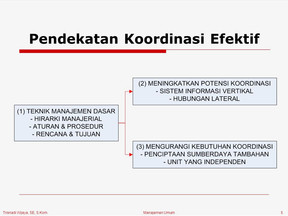 Trisnadi Wijaya, SE, S.Kom Manajemen Umum5 Pendekatan Koordinasi Efektif