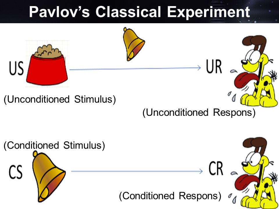 Pavlov’s Classical Conditioning By : Muhammad Silahuddin (NPM: ) - ppt ...