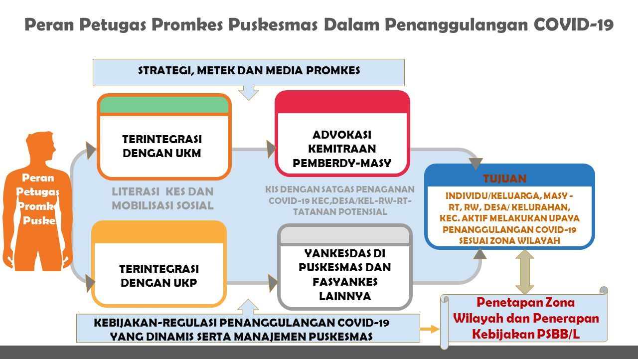 PANDUAN PERAN PETUGAS PROMOSI KESEHATAN DI PUSKEMAS DALAM ...