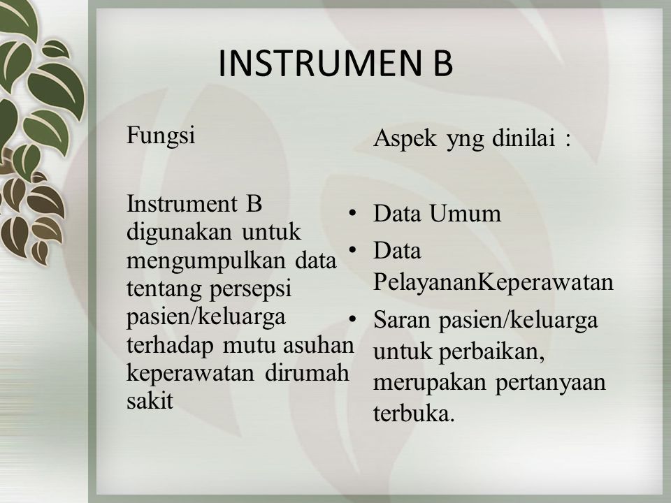 STANDAR ASUHAN KEPERAWATAN DI RUMAH SAKIT INSTRUMEN A, B Dan C. - Ppt ...