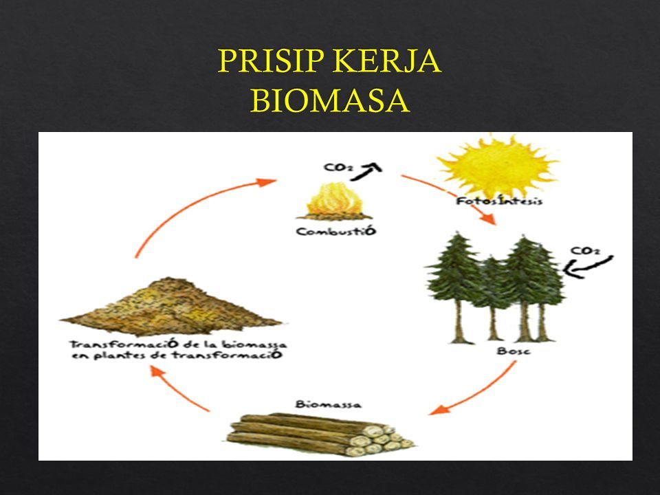 Oleh Khairunnas Npm Pengertian Energi Biomassa Adalah Energi Dibuat