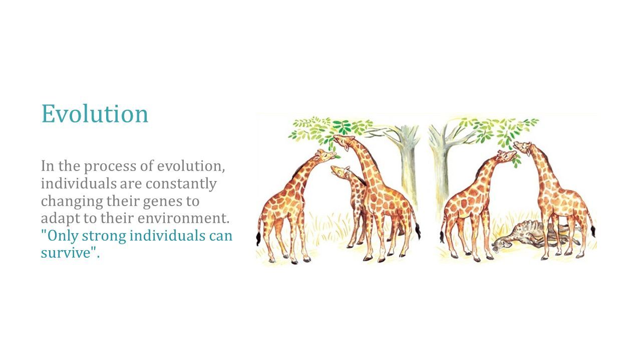 Genetic Algorithm Fundamental - Ppt Download