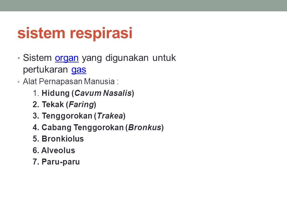 SISTEM RESPIRASI. sistem respirasi Sistem organ yang digunakan untuk ...