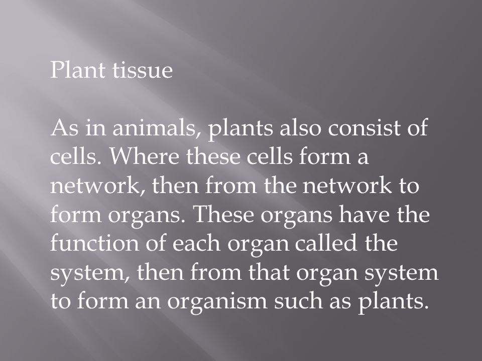 Plant tissue As in animals, plants also consist of cells.