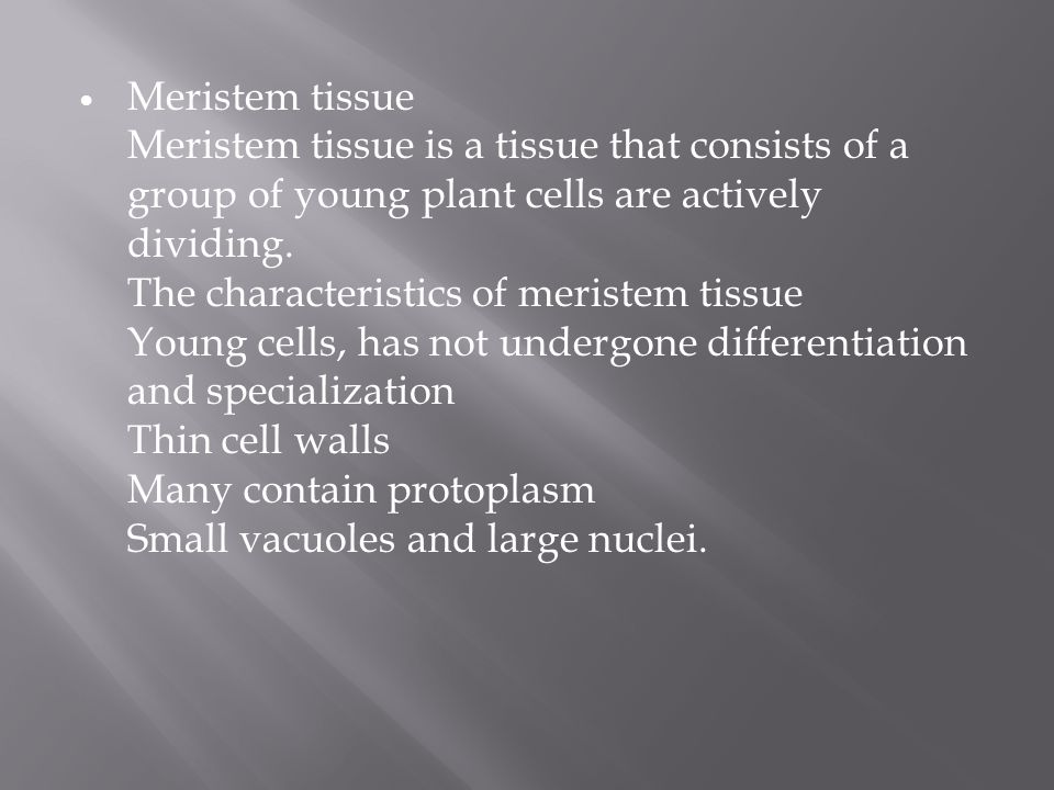 Meristem tissue Meristem tissue is a tissue that consists of a group of young plant cells are actively dividing.