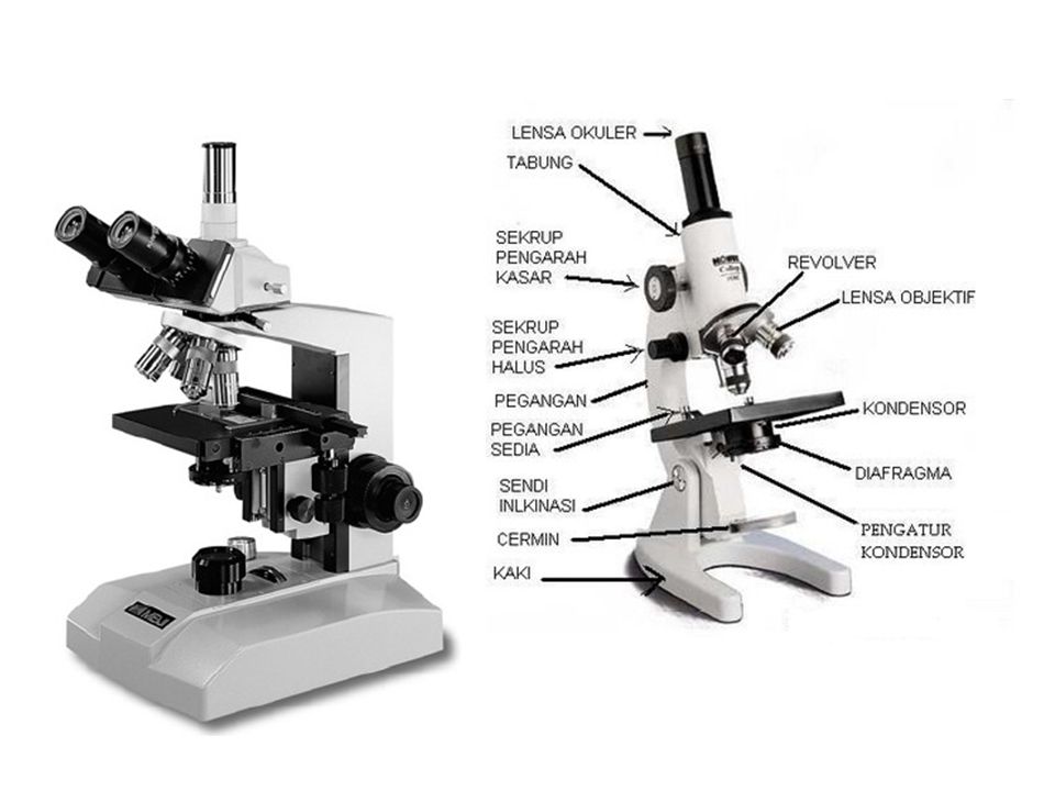 1 прибор типа микроскопа. Строение микроскопа Levenhuk. Микроскоп Микромед строение. Микроскоп Микромед p1 led. Микроскоп Микромед 5 строение.