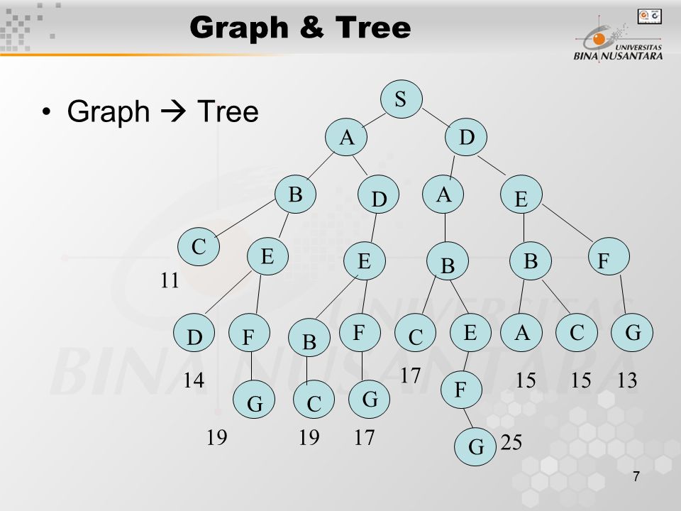 Tree graph