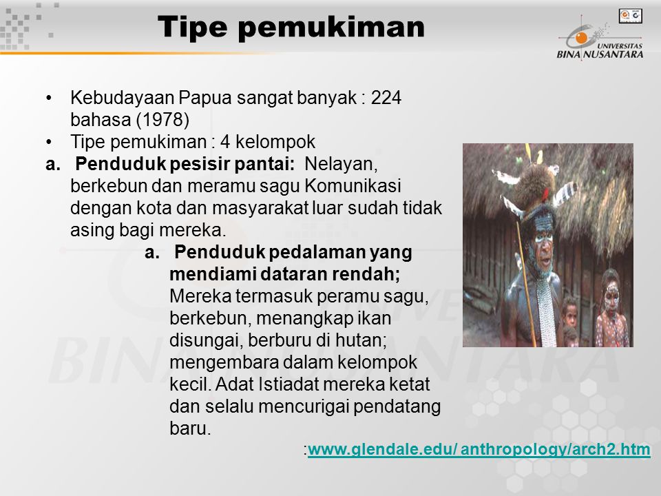 Tipe pemukiman :  anthropology/arch2.htmwww.glendale.edu/ anthropology/arch2.htm Kebudayaan Papua sangat banyak : 224 bahasa (1978) Tipe pemukiman : 4 kelompok a.